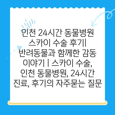 인천 24시간 동물병원 스카이 수술 후기|  반려동물과 함께한 감동 이야기 | 스카이 수술, 인천 동물병원, 24시간 진료, 후기