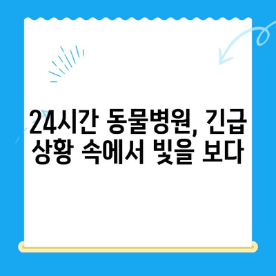 고양이 골절 응급 수술| 24시간 동물병원에서 겪은 실제 경험 | 응급처치, 수술 과정, 회복 이야기