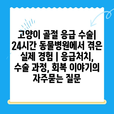 고양이 골절 응급 수술| 24시간 동물병원에서 겪은 실제 경험 | 응급처치, 수술 과정, 회복 이야기