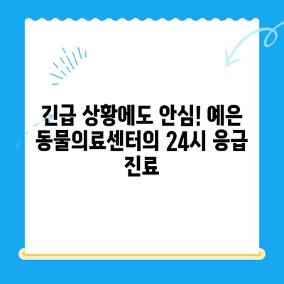 24시 응급 진료 가능! CT 장비 보유한 "예은 동물의료센터" | 동물병원, 응급진료, CT, 예은 동물의료센터