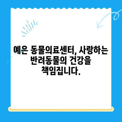 24시 응급 진료 가능! CT 장비 보유한 "예은 동물의료센터" | 동물병원, 응급진료, CT, 예은 동물의료센터