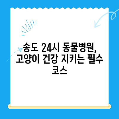 송도 24시 동물병원에서 고양이 건강검진 받기| 꼼꼼하게 체크하는 필수 항목 | 고양이 건강, 건강검진, 송도 동물병원, 24시 진료