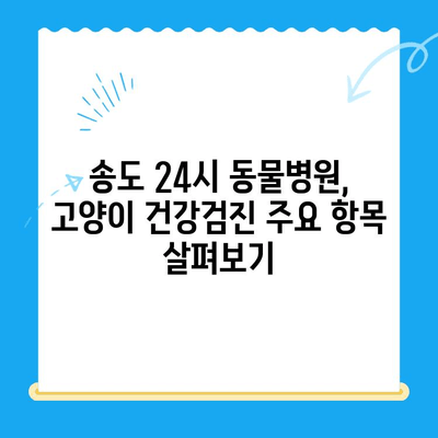 송도 24시 동물병원에서 고양이 건강검진 받기| 꼼꼼하게 체크하는 필수 항목 | 고양이 건강, 건강검진, 송도 동물병원, 24시 진료