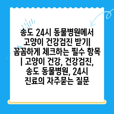 송도 24시 동물병원에서 고양이 건강검진 받기| 꼼꼼하게 체크하는 필수 항목 | 고양이 건강, 건강검진, 송도 동물병원, 24시 진료