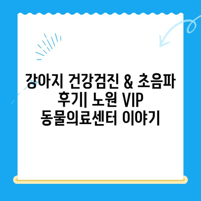 강아지 건강검진 & 초음파 후기| 노원 VIP 동물의료센터에서 경험한 이야기 | 강아지 건강, 초음파 검사, 동물병원 후기, 노원