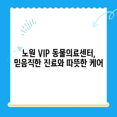 강아지 건강검진 & 초음파 후기| 노원 VIP 동물의료센터에서 경험한 이야기 | 강아지 건강, 초음파 검사, 동물병원 후기, 노원