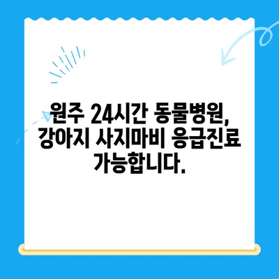 원주 24시간 동물병원| 강아지 사지마비 치료, 가능한가요? | 원주 동물병원, 강아지 사지마비, 응급진료