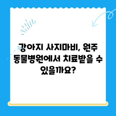 원주 24시간 동물병원| 강아지 사지마비 치료, 가능한가요? | 원주 동물병원, 강아지 사지마비, 응급진료