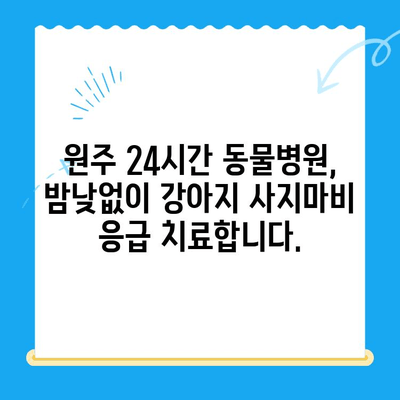 원주 24시간 동물병원| 강아지 사지마비 치료, 가능한가요? | 원주 동물병원, 강아지 사지마비, 응급진료