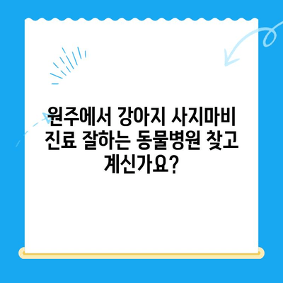 원주 24시간 동물병원| 강아지 사지마비 치료, 가능한가요? | 원주 동물병원, 강아지 사지마비, 응급진료