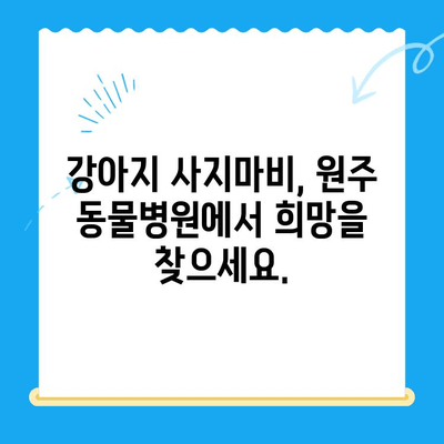 원주 24시간 동물병원| 강아지 사지마비 치료, 가능한가요? | 원주 동물병원, 강아지 사지마비, 응급진료