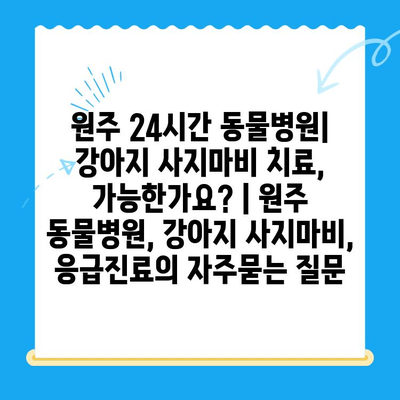 원주 24시간 동물병원| 강아지 사지마비 치료, 가능한가요? | 원주 동물병원, 강아지 사지마비, 응급진료