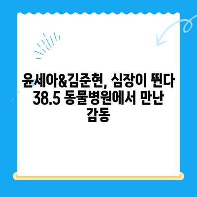 "심장이 뛴다 38.5" 윤세아 & 김준현, 동물병원 방문기| 감동과 눈물의 이야기 | 동물, 유기견, 봉사, 감동, 눈물, 힐링