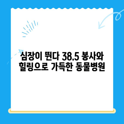 "심장이 뛴다 38.5" 윤세아 & 김준현, 동물병원 방문기| 감동과 눈물의 이야기 | 동물, 유기견, 봉사, 감동, 눈물, 힐링