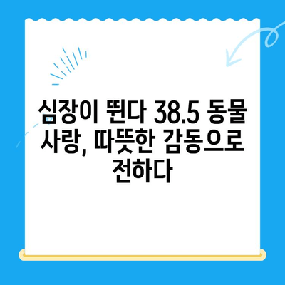 "심장이 뛴다 38.5" 윤세아 & 김준현, 동물병원 방문기| 감동과 눈물의 이야기 | 동물, 유기견, 봉사, 감동, 눈물, 힐링