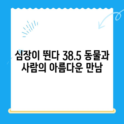 "심장이 뛴다 38.5" 윤세아 & 김준현, 동물병원 방문기| 감동과 눈물의 이야기 | 동물, 유기견, 봉사, 감동, 눈물, 힐링