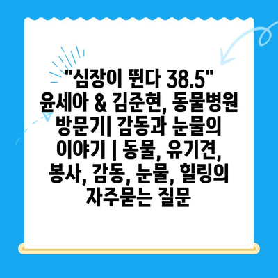 "심장이 뛴다 38.5" 윤세아 & 김준현, 동물병원 방문기| 감동과 눈물의 이야기 | 동물, 유기견, 봉사, 감동, 눈물, 힐링