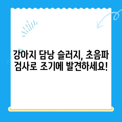 강아지 담낭 슬러지, 24시 동물병원에서 초음파 검사와 치료 받으세요 | 강아지, 담낭, 초음파, 슬러지, 치료, 동물병원, 24시