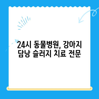 강아지 담낭 슬러지, 24시 동물병원에서 초음파 검사와 치료 받으세요 | 강아지, 담낭, 초음파, 슬러지, 치료, 동물병원, 24시