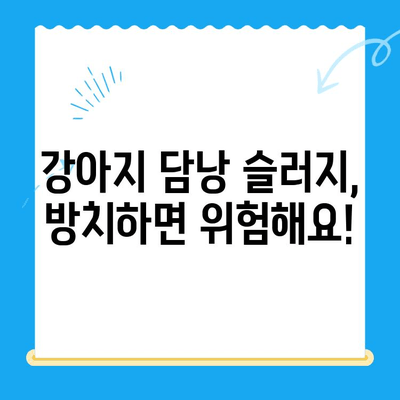 강아지 담낭 슬러지, 24시 동물병원에서 초음파 검사와 치료 받으세요 | 강아지, 담낭, 초음파, 슬러지, 치료, 동물병원, 24시