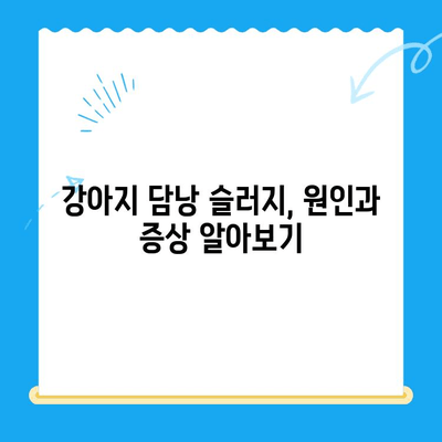 강아지 담낭 슬러지, 24시 동물병원에서 초음파 검사와 치료 받으세요 | 강아지, 담낭, 초음파, 슬러지, 치료, 동물병원, 24시