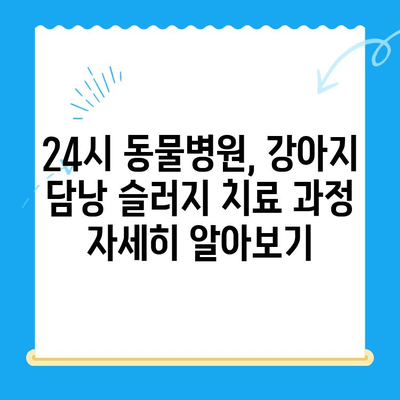 강아지 담낭 슬러지, 24시 동물병원에서 초음파 검사와 치료 받으세요 | 강아지, 담낭, 초음파, 슬러지, 치료, 동물병원, 24시