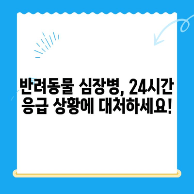 24시간 심장 응급! 동물병원 심장검사, 윤세아와 김준현의 