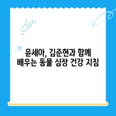 24시간 심장 응급! 동물병원 심장검사, 윤세아와 김준현의 