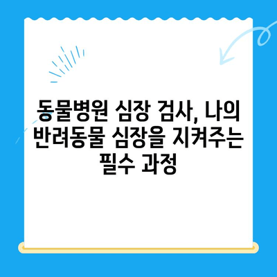 24시간 심장 응급! 동물병원 심장검사, 윤세아와 김준현의 