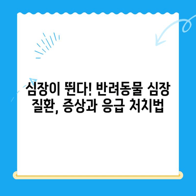 24시간 심장 응급! 동물병원 심장검사, 윤세아와 김준현의 