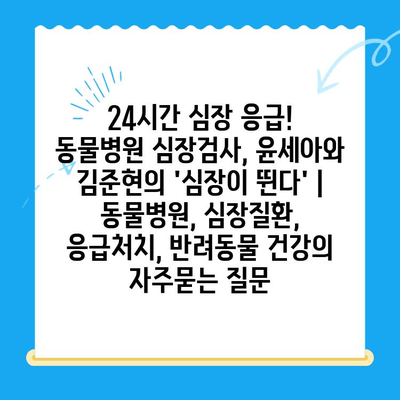 24시간 심장 응급! 동물병원 심장검사, 윤세아와 김준현의 