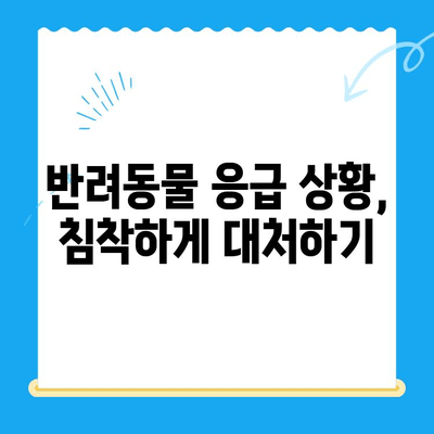 해든 동물메디컬센터 응급 상황 대처 가이드| 반려동물의 위급 상황, 어떻게 대처해야 할까요? | 응급처치, 동물병원, 위급상황, 반려동물