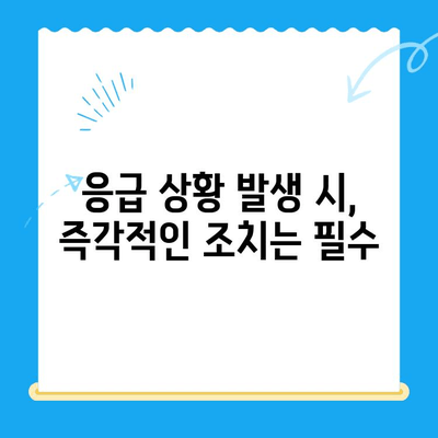 해든 동물메디컬센터 응급 상황 대처 가이드| 반려동물의 위급 상황, 어떻게 대처해야 할까요? | 응급처치, 동물병원, 위급상황, 반려동물