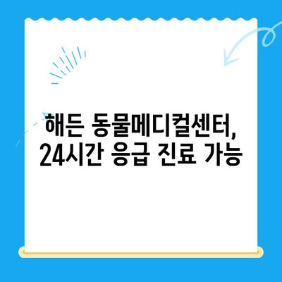 해든 동물메디컬센터 응급 상황 대처 가이드| 반려동물의 위급 상황, 어떻게 대처해야 할까요? | 응급처치, 동물병원, 위급상황, 반려동물