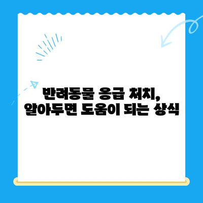 해든 동물메디컬센터 응급 상황 대처 가이드| 반려동물의 위급 상황, 어떻게 대처해야 할까요? | 응급처치, 동물병원, 위급상황, 반려동물