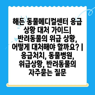 해든 동물메디컬센터 응급 상황 대처 가이드| 반려동물의 위급 상황, 어떻게 대처해야 할까요? | 응급처치, 동물병원, 위급상황, 반려동물