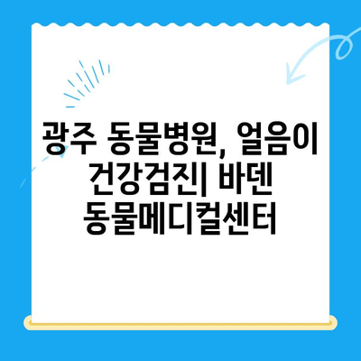 광주 동물병원 얼음이 강아지 건강검진| 24시 바덴 동물메디컬센터 | 광주, 동물병원, 강아지 건강검진, 24시, 바덴