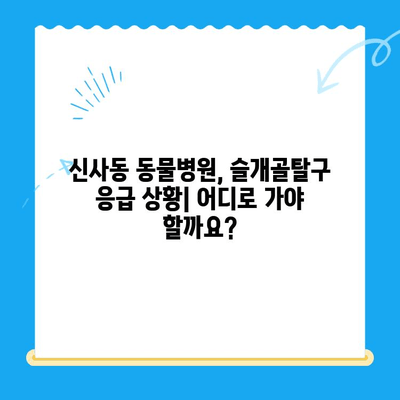 신사동 동물병원 슬개골탈구 응급실 대기시간| 빠르고 정확한 정보 확인 | 슬개골탈구, 응급실, 대기시간, 신사동, 동물병원