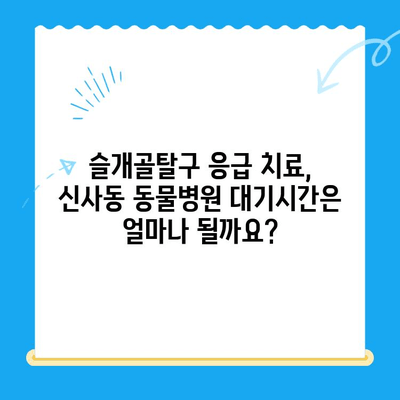 신사동 동물병원 슬개골탈구 응급실 대기시간| 빠르고 정확한 정보 확인 | 슬개골탈구, 응급실, 대기시간, 신사동, 동물병원