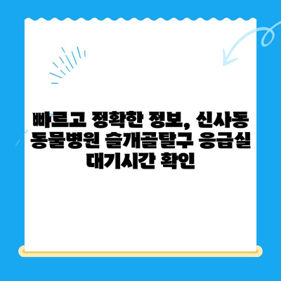 신사동 동물병원 슬개골탈구 응급실 대기시간| 빠르고 정확한 정보 확인 | 슬개골탈구, 응급실, 대기시간, 신사동, 동물병원