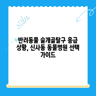 신사동 동물병원 슬개골탈구 응급실 대기시간| 빠르고 정확한 정보 확인 | 슬개골탈구, 응급실, 대기시간, 신사동, 동물병원