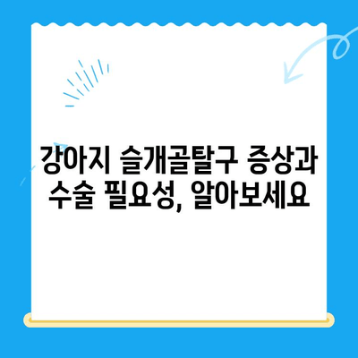 대치동 강아지 슬개골탈구 수술| 24시 동물병원 추천 & 정보 | 슬개골탈구, 수술, 24시 동물병원, 강아지, 대치동