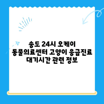 송도 24시 오케이 동물의료센터 고양이 응급진료 대기시간|  빠르고 정확한 정보 | 송도, 동물병원, 응급실, 고양이 건강