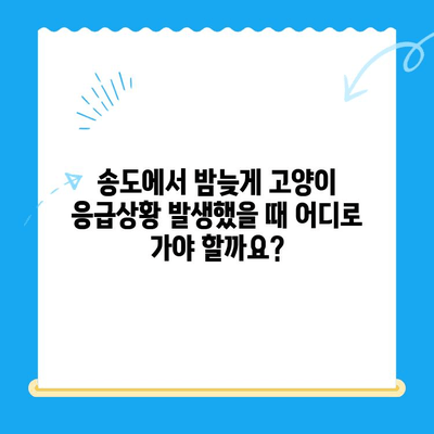 송도 24시 오케이 동물의료센터 고양이 응급진료 대기시간|  빠르고 정확한 정보 | 송도, 동물병원, 응급실, 고양이 건강