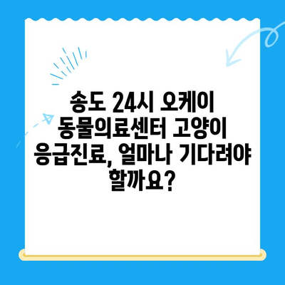 송도 24시 오케이 동물의료센터 고양이 응급진료 대기시간|  빠르고 정확한 정보 | 송도, 동물병원, 응급실, 고양이 건강