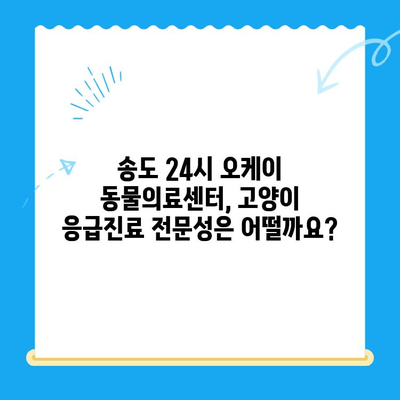 송도 24시 오케이 동물의료센터 고양이 응급진료 대기시간|  빠르고 정확한 정보 | 송도, 동물병원, 응급실, 고양이 건강