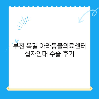 부천 옥길 아라동물의료센터 십자인대 수술 후기| 반려동물의 회복 여정 | 십자인대 파열, 수술 과정, 재활 팁