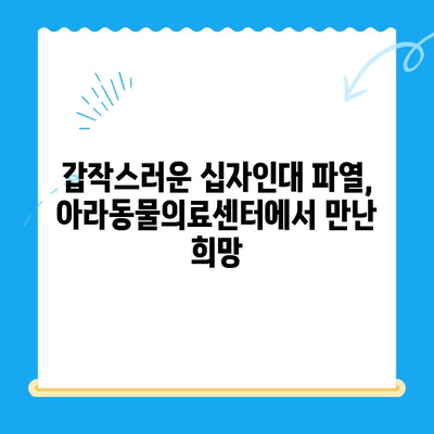 부천 옥길 아라동물의료센터 십자인대 수술 후기| 반려동물의 회복 여정 | 십자인대 파열, 수술 과정, 재활 팁