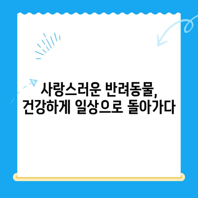 부천 옥길 아라동물의료센터 십자인대 수술 후기| 반려동물의 회복 여정 | 십자인대 파열, 수술 과정, 재활 팁
