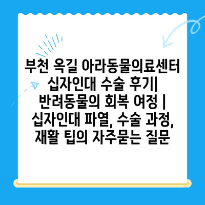 부천 옥길 아라동물의료센터 십자인대 수술 후기| 반려동물의 회복 여정 | 십자인대 파열, 수술 과정, 재활 팁